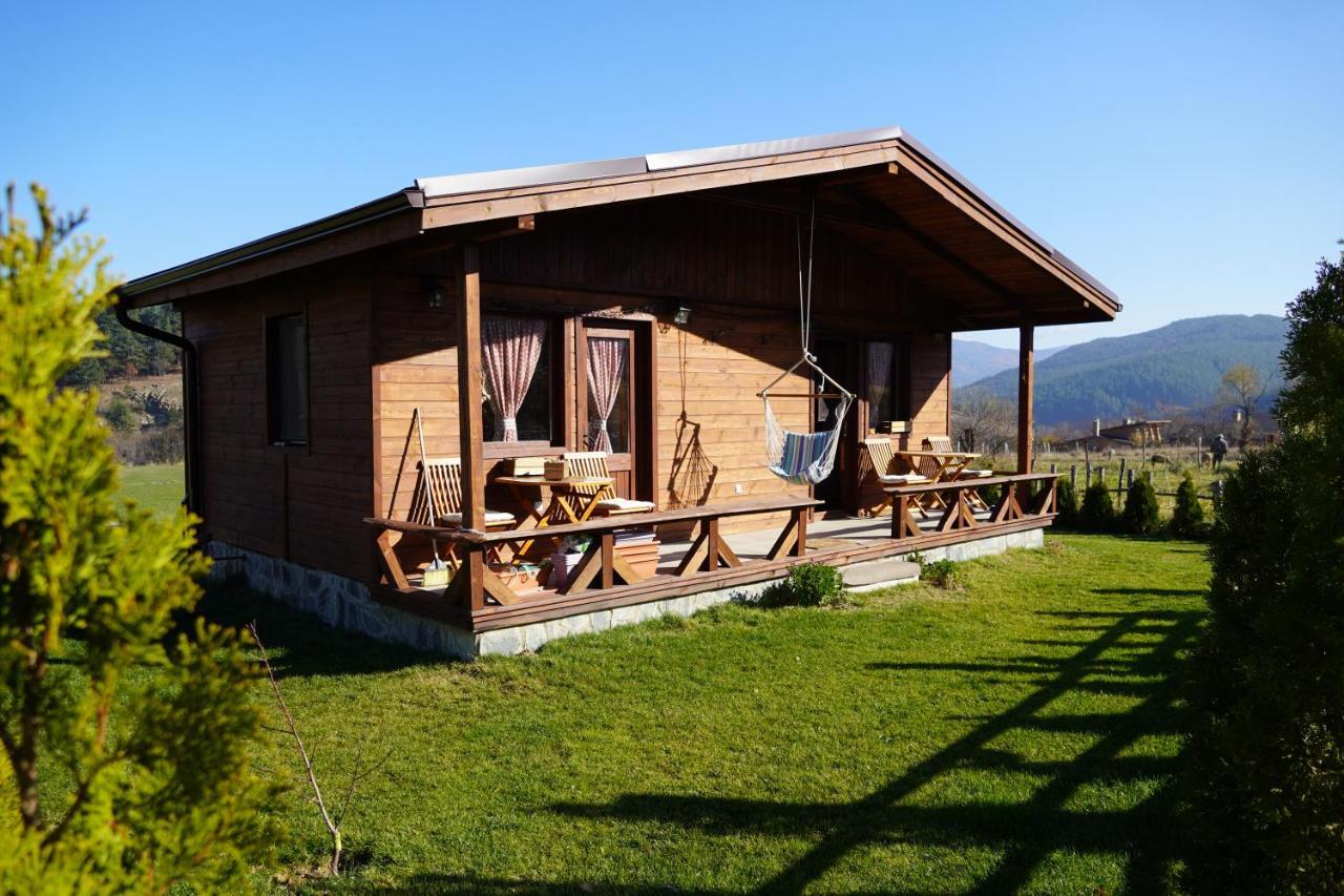 Hotel Orbel Dobrinishte Dış mekan fotoğraf