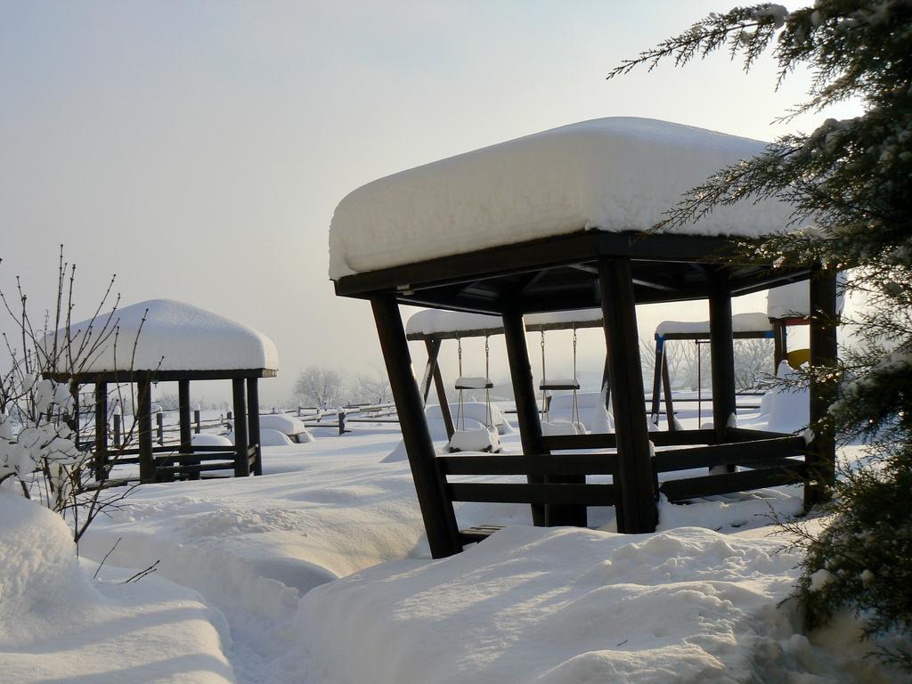 Hotel Orbel Dobrinishte Dış mekan fotoğraf