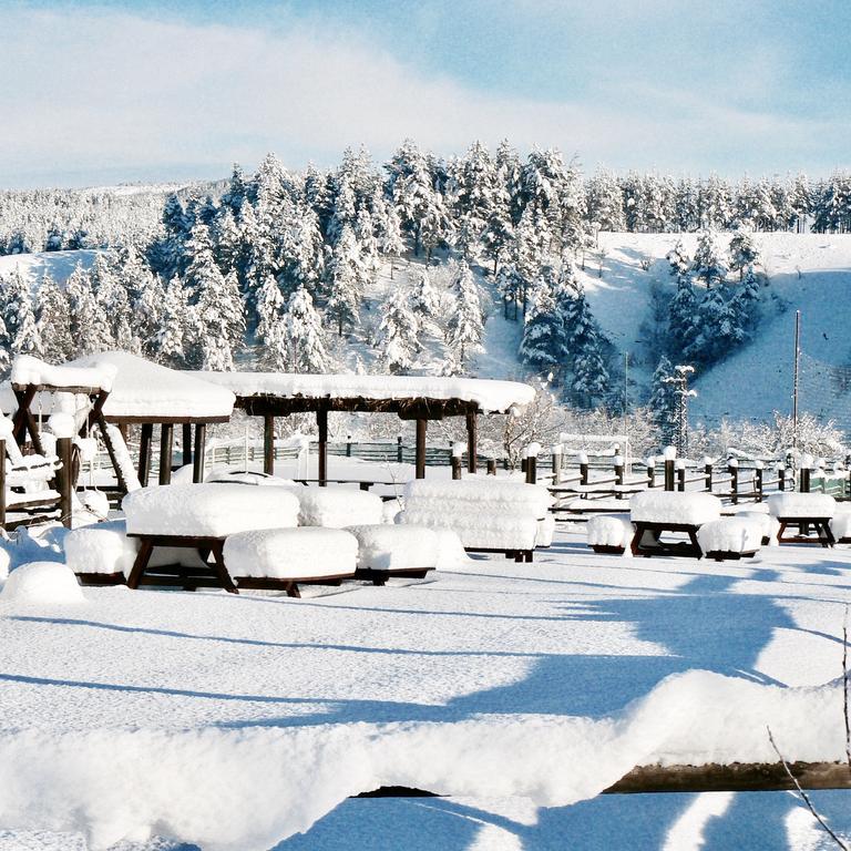 Hotel Orbel Dobrinishte Dış mekan fotoğraf